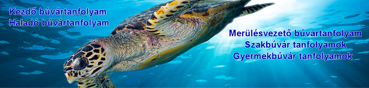 #htmlcaption-1 CMAS búvár tanfolyamok
